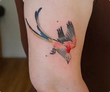 Watercolor flying bird tattoo on the forearm