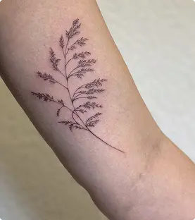 Delicate fern branch tattoo on the forearm