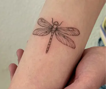 Fine-line dragonfly tattoo on the forearm